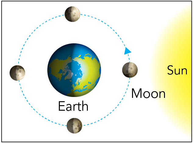 Shown is a colour diagram illustrating the Moon moving around the Earth, next to the sun.