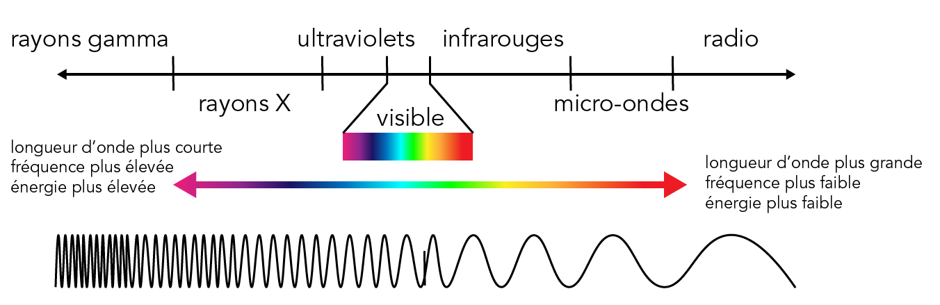 Une illustration en couleur montre le spectre électromagnétique, la longueur d’onde, la fréquence et l’énergie.