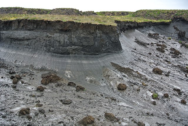 Shown is a colour photograph of an area of melting permafrost.