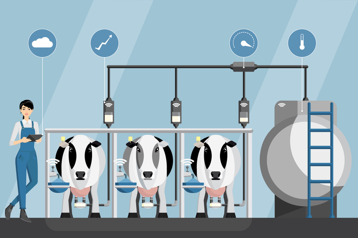 Shown is a colour illustration of a person holding a tablet, standing next to three cows and pipes connected to a silver tank, overlaid with graphic symbols.