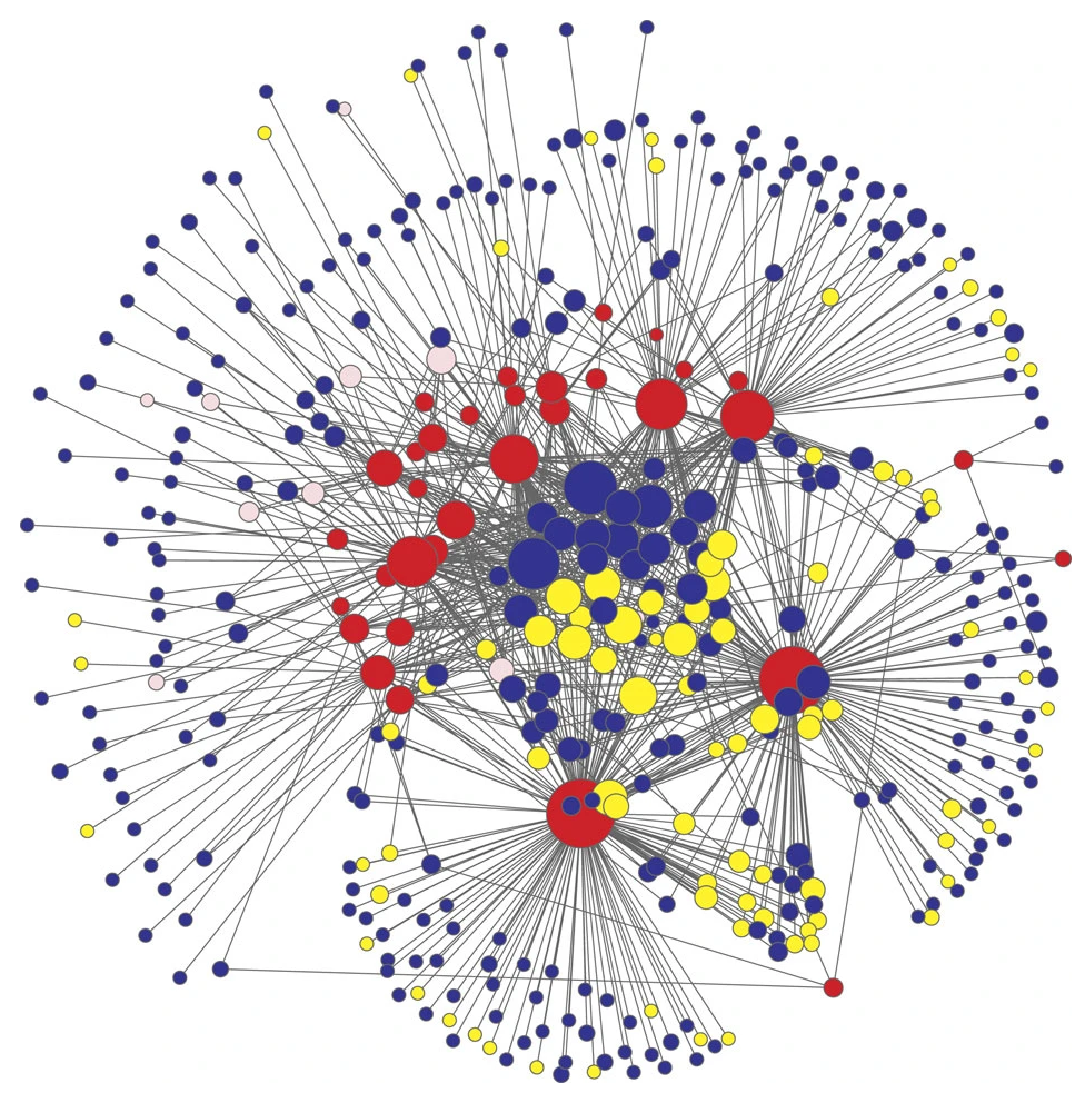 Shown is a network graph showing a dense cluster of circles of varying sizes and colours in the middle, with a sparser section of connected circles arranged in a rough circle around the cluster in the middle.