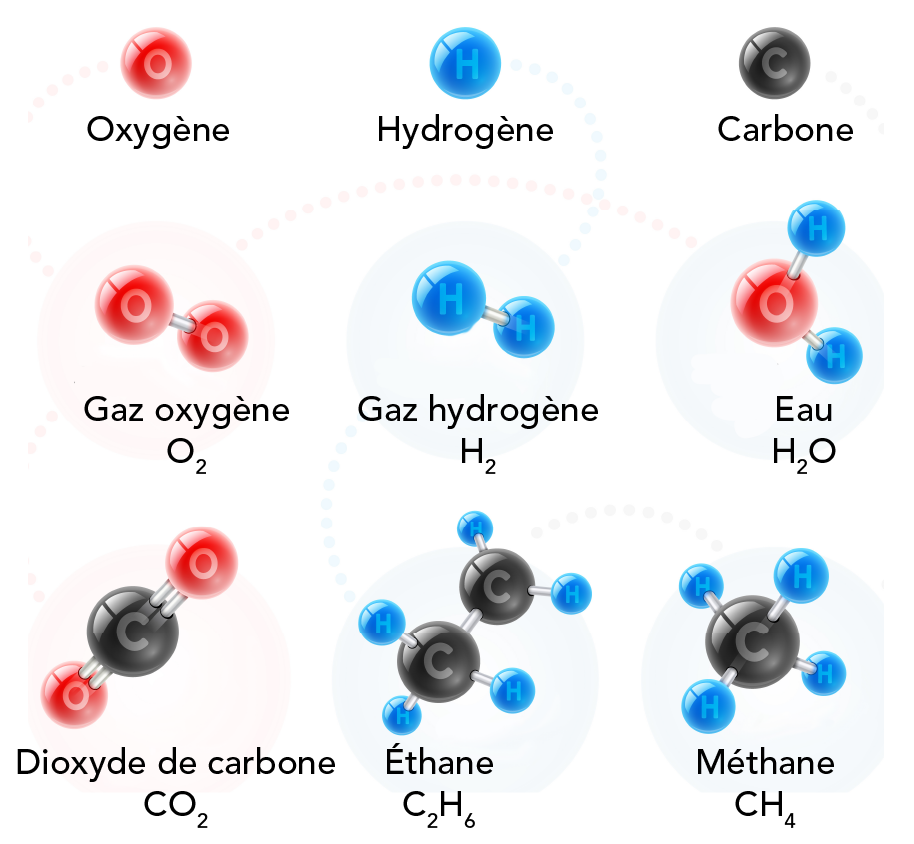 Représentation de différentes molécules qui contiennent de l’hydrogène, de l’oxygène et du carbone.