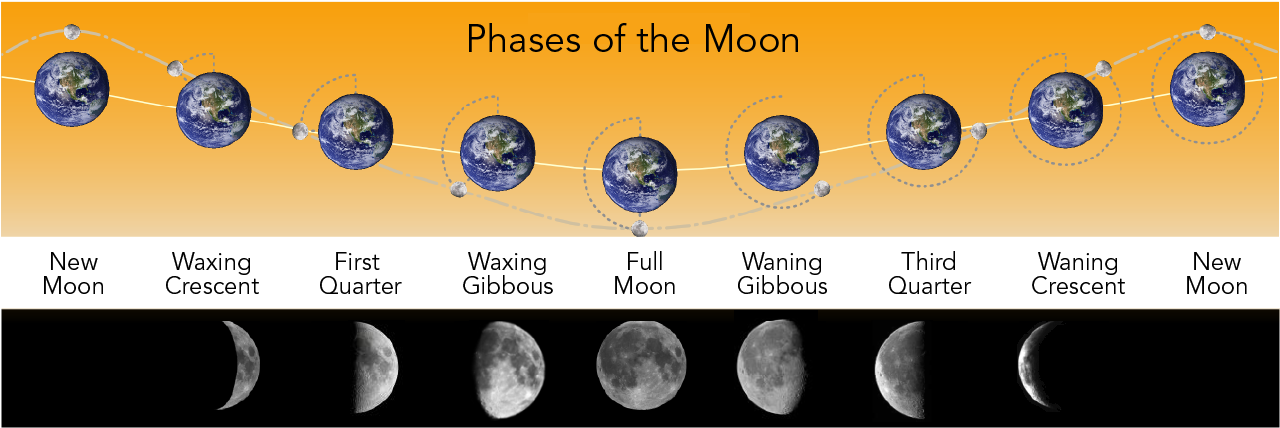 Shown is a colour illustration of how the Moon revolves around the Earth, and how each phase appears in the night sky.