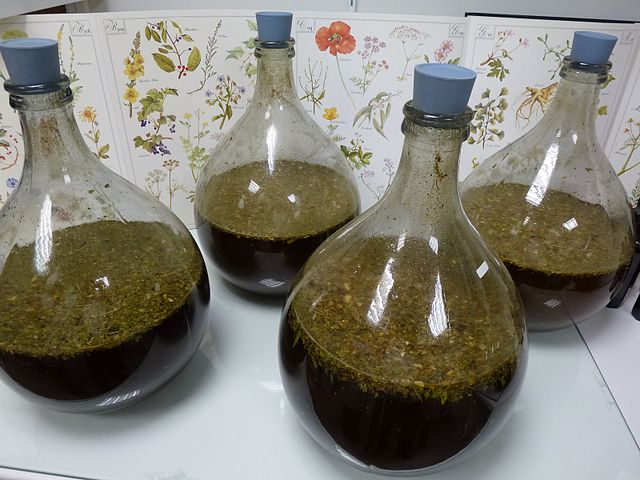 Shown is a colour photograph of four glass flasks filled with greenish brown liquid. 