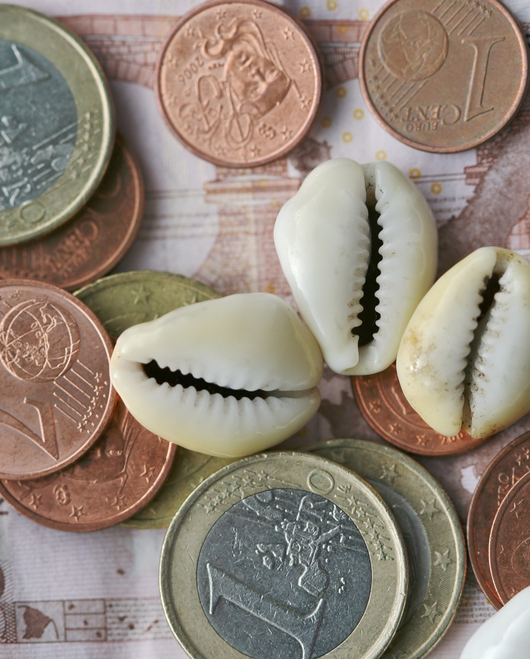 Shown is a colour photograph of copper, gold and silver coloured metal coins in various sizes, and three small, white bean-shaped shells.