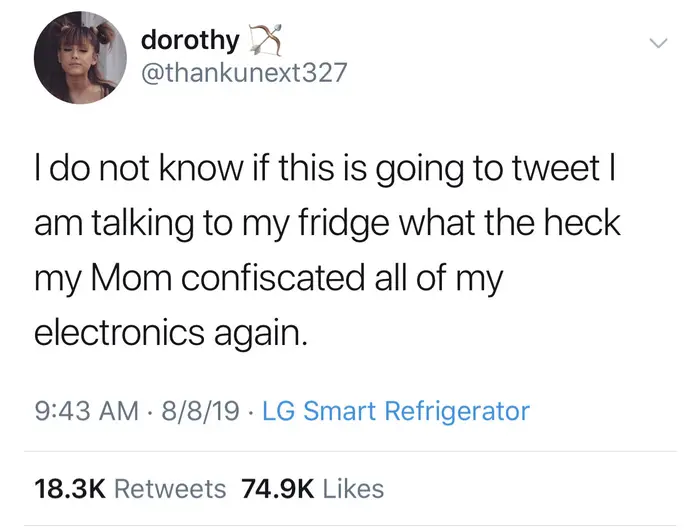 Shown is a colour screenshot of a tweet from a user named dorothy, labelled 9:43 AM, 8/8/19, LG Smart Refrigerator.