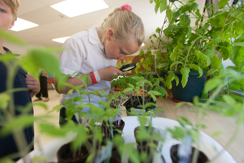  Girl inspecting plants with magnifying glass