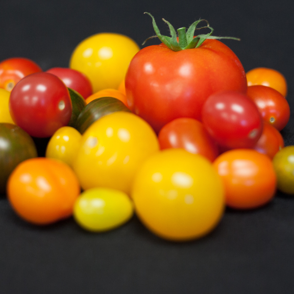 Different tomatoes