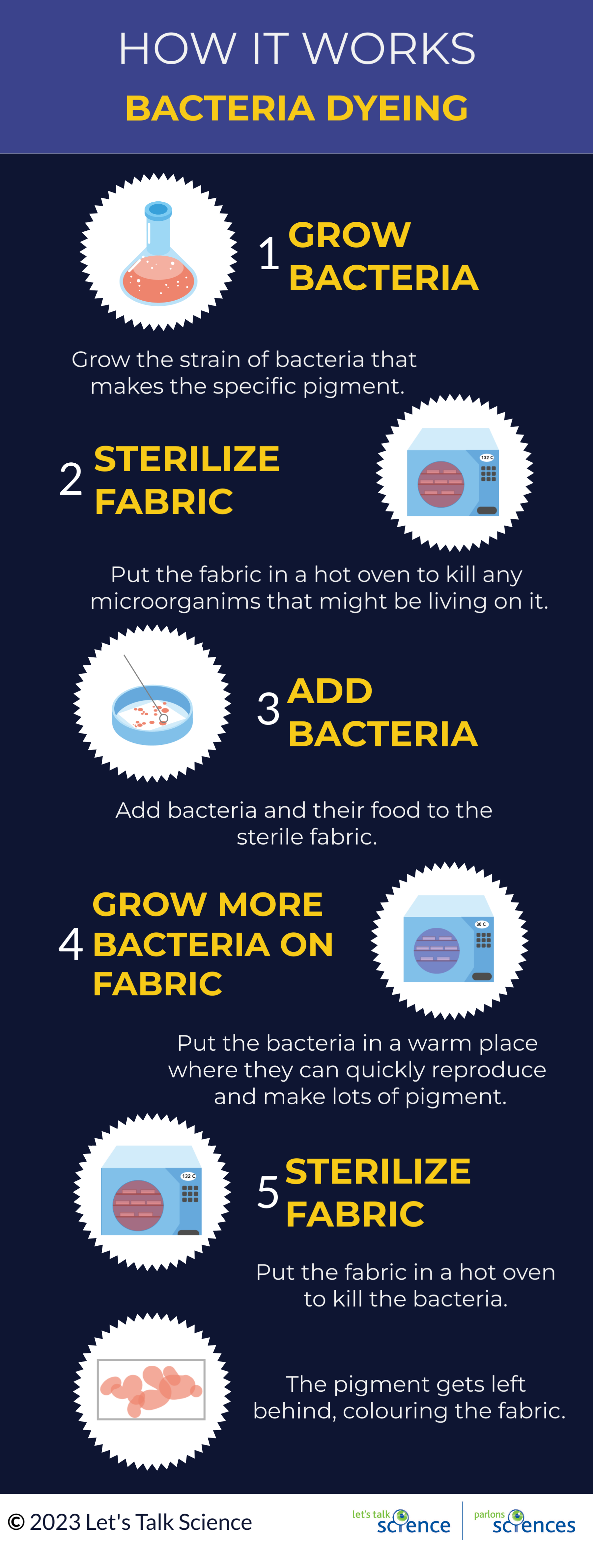 Shown is a colour infographic illustrating the five steps of bacteria dyeing. 