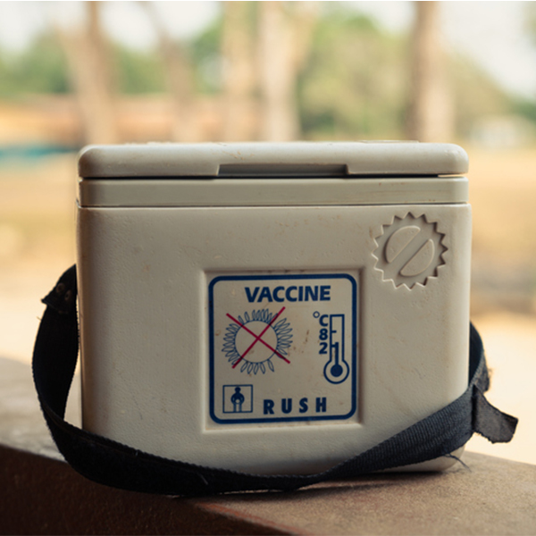 Vaccine cooler bag