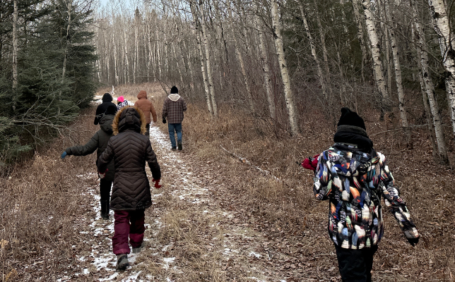 Students walking in Forest