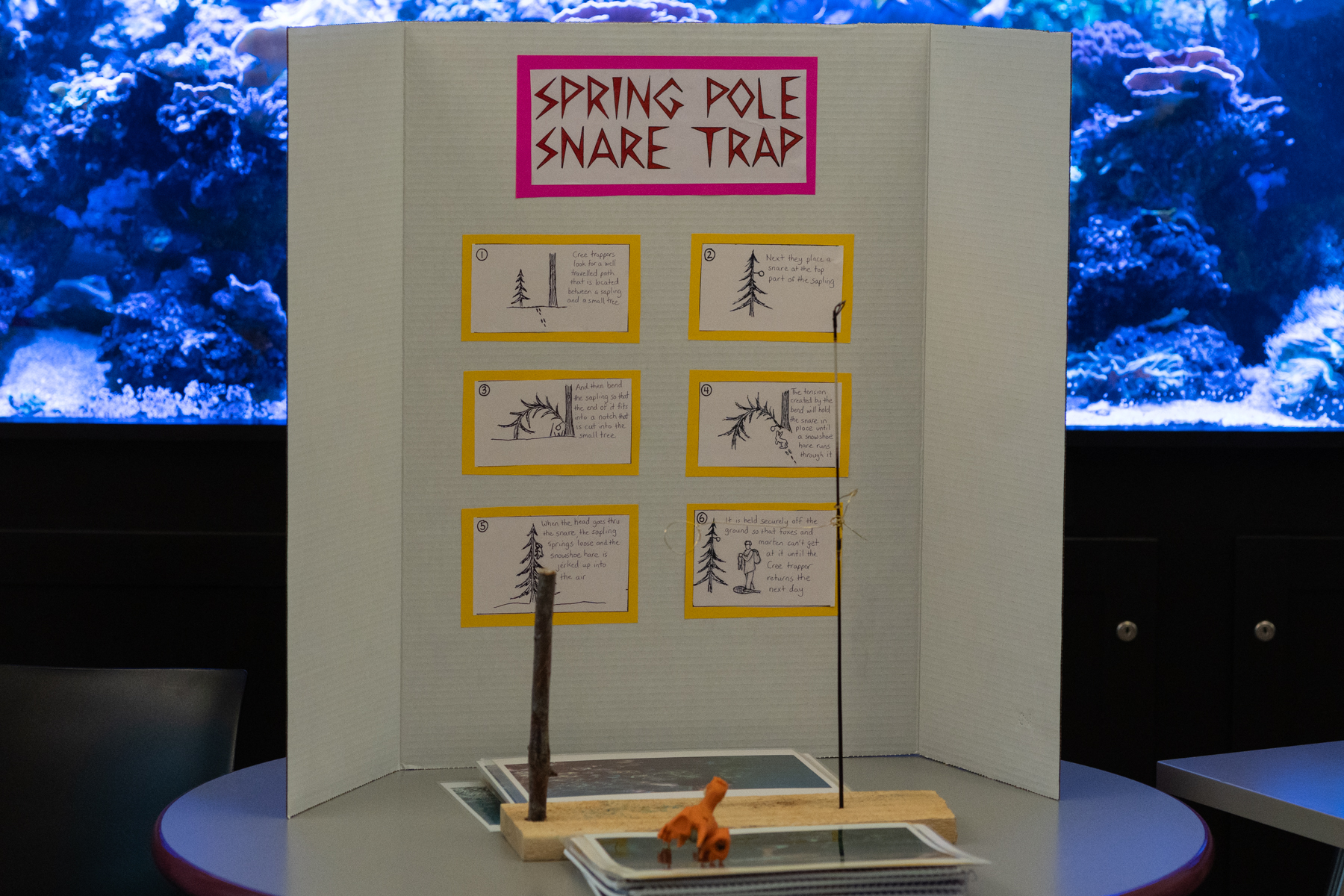 Bristol board displaying a comparison of Snare Trapping techniques