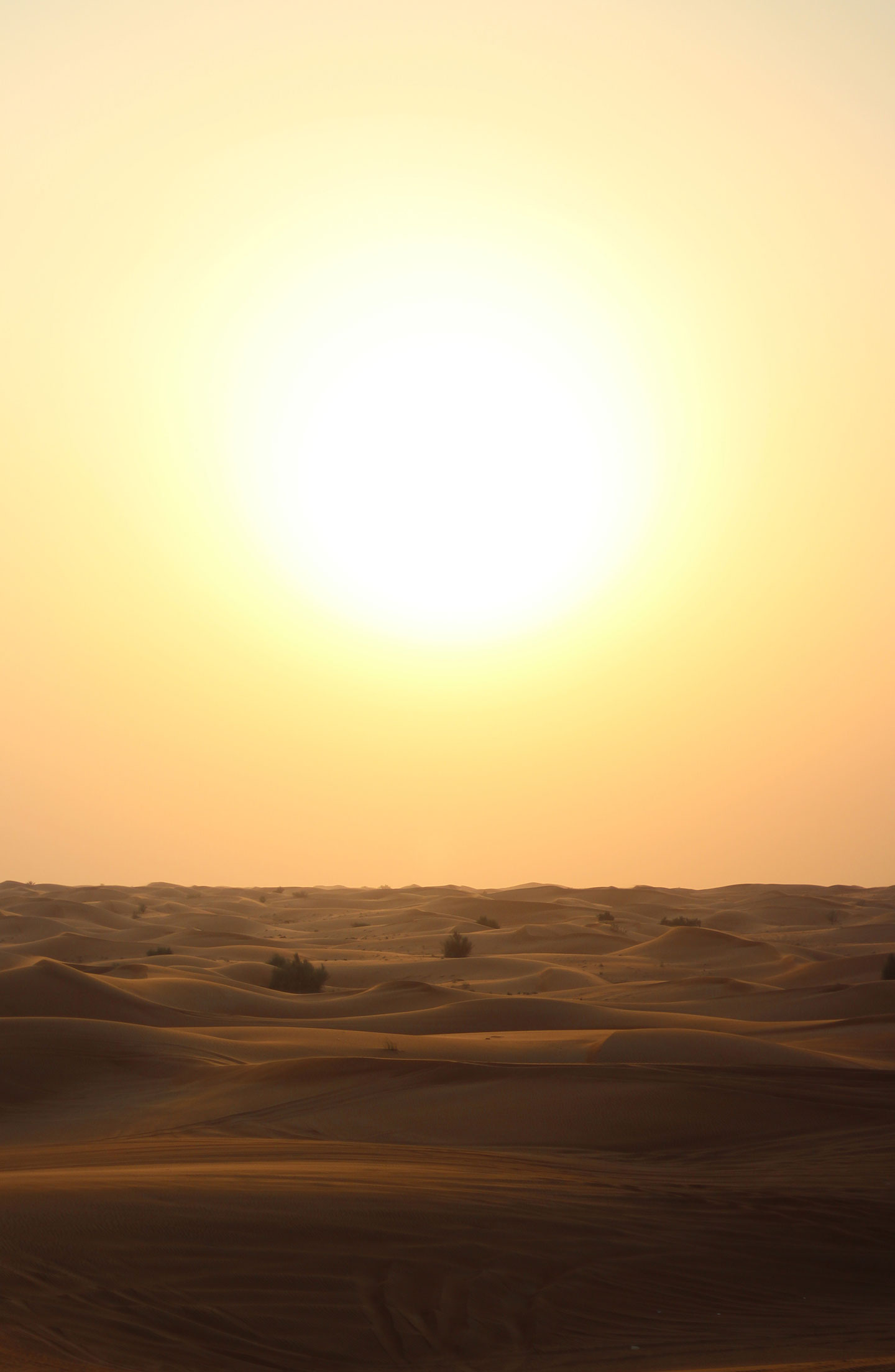 A desert scene with sun beating down