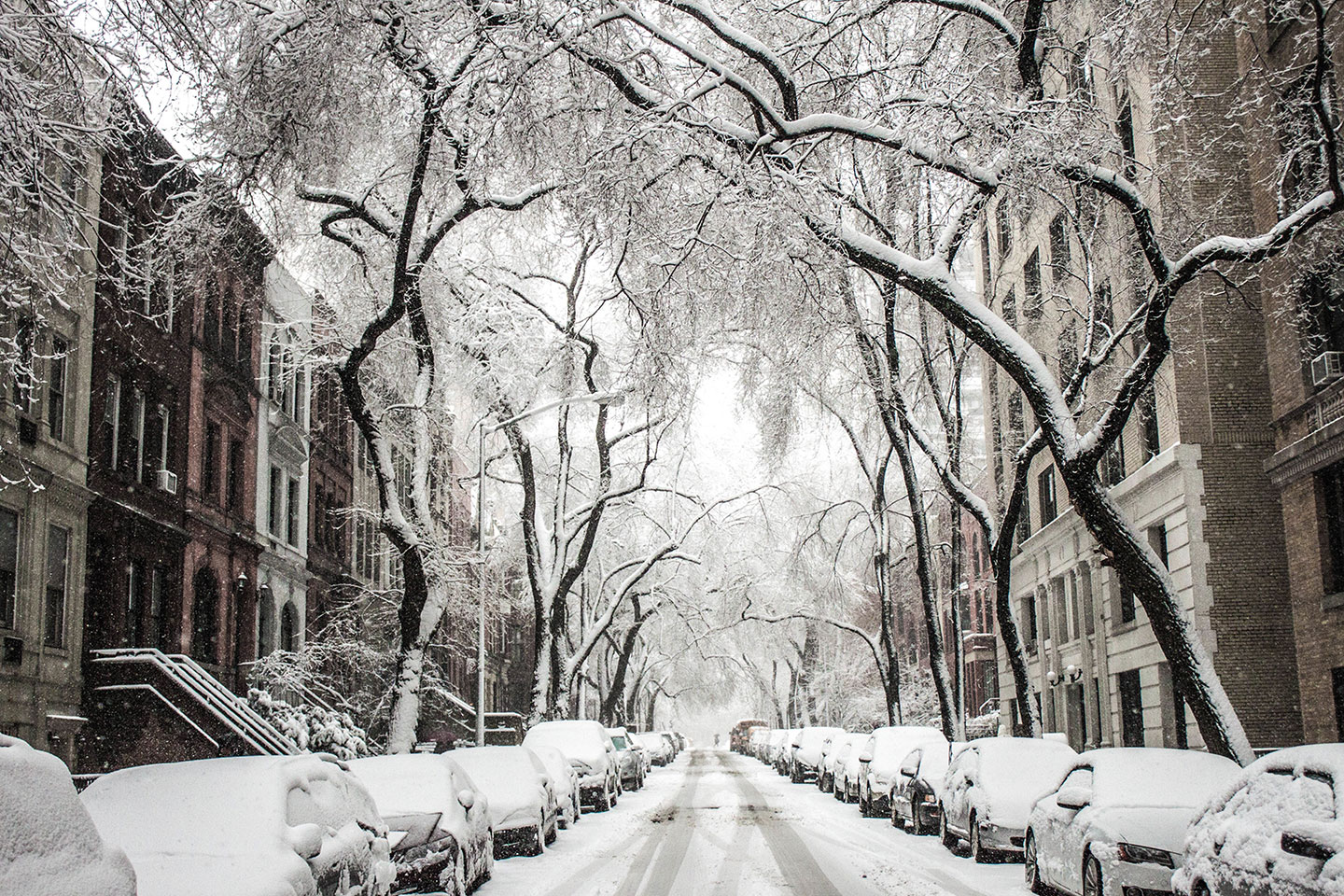 Fresh Snowfall on City Street