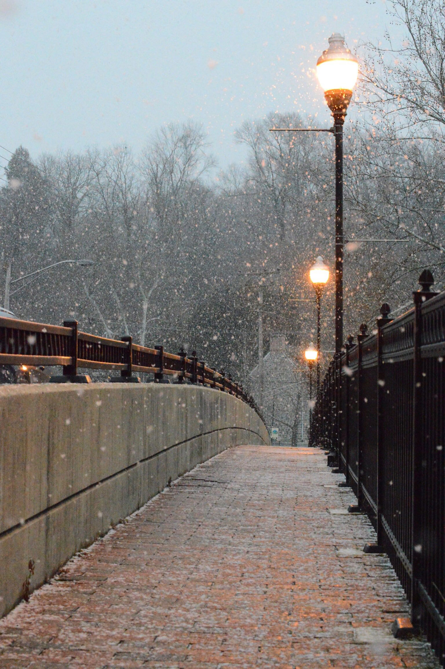 A bridge with streetlights in the snow