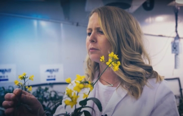 Zoe Ehlert closely examining a plan that has yellow flowers