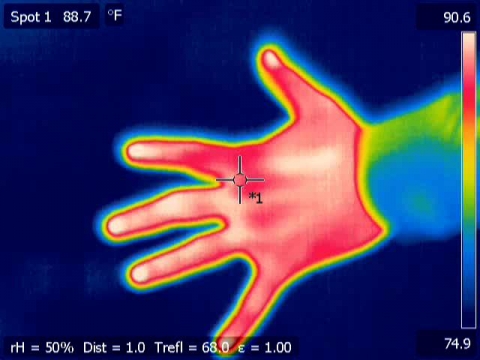 Thermal image of a hand 