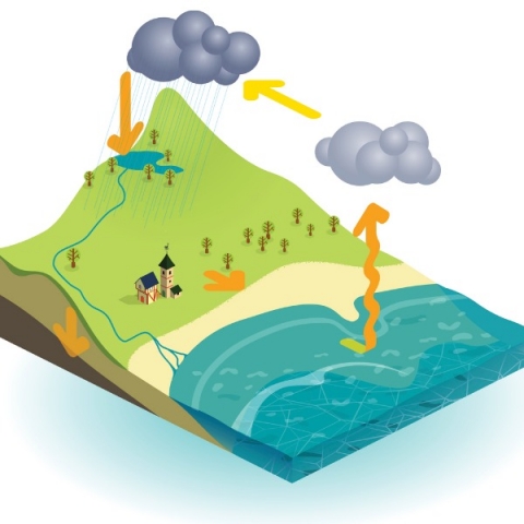 What is the Water Cycle? | Let's Talk Science