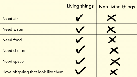 Chart Living and Non-Living Things