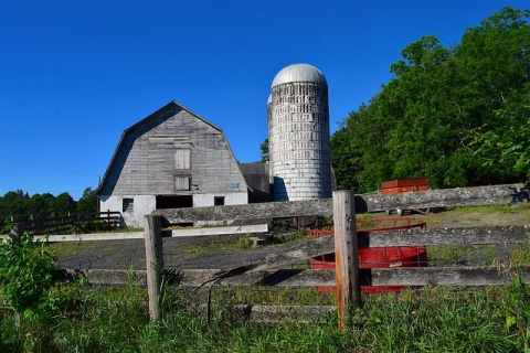 Barn and grain silo at a farm 