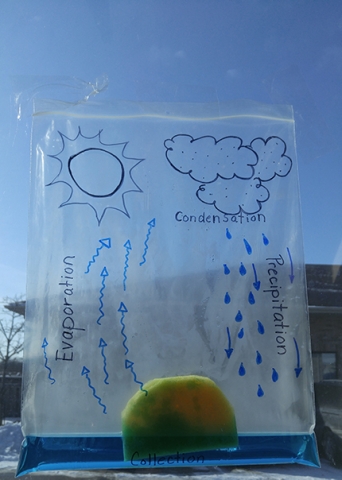 Example water cycle model using a resealable plastic bag on a window
