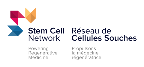 Stem Cell Network/Réseau de cellules souches logo