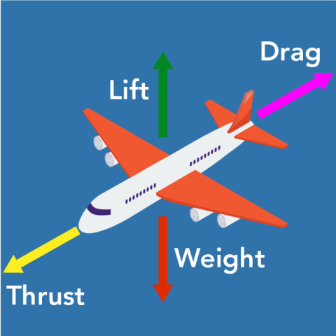 The four forces of flight, labelled: thrust, lift, drag, and weight
