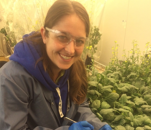 Kaleigh Gray | Associée de recherche/technicienne en sécurité chez Monsanto Canada