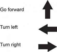 Arrows used as symbols for the directions “go forward”, “turn left” and “turn right” 