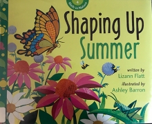 Cover of Shaping Up Summer by Lizann Flatt
