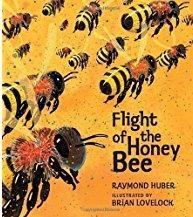 Cover of Flight of the Honey Bee by Raymond Huber