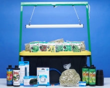 Sucseed hydroponic kit