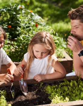 Kids with small shovels digging in garden with adult