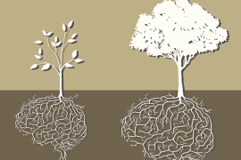 Like trees, brains grow and develop