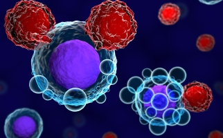 T cells and cancer cells - Image © Meletios Verras, iStockPhoto.com