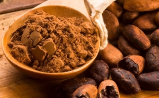 Cocoa beans and cocoa powder 