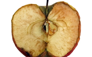 Browning apple 