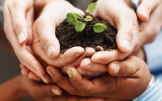 Hands holding soil and a small plant