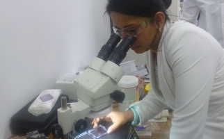 July Chacon examining specimen at microscope. 