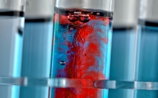Test tubes with colourful liquids