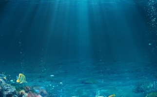 Underwater scene with reef