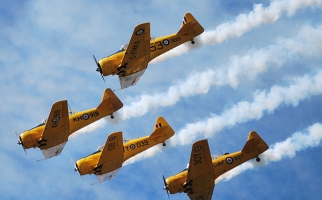 Four Harvard training aircraft
