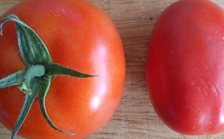 Three types of tomatoes