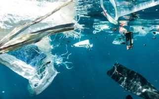 Plastic and other garbage in water
