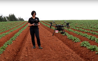 Stephanie Arnold pilotant un drone dans un champ de pommes de terre.