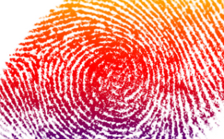 Multi-coloured fingerprint