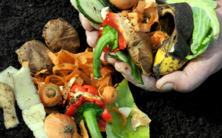 Handling kitchen food waste for composting