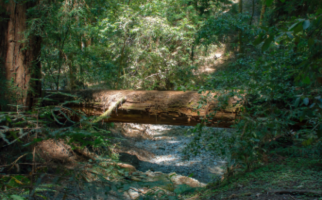 Log over a stream