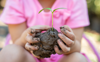 Girl holding plant in soil