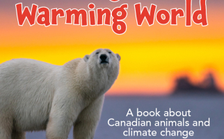 Cover of Living in a Warming World book